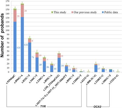 Identification of 12 OCA Cases in Chinese Population and Two Novel Variants